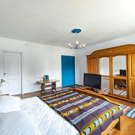 Blue Home Avrig Esterno foto