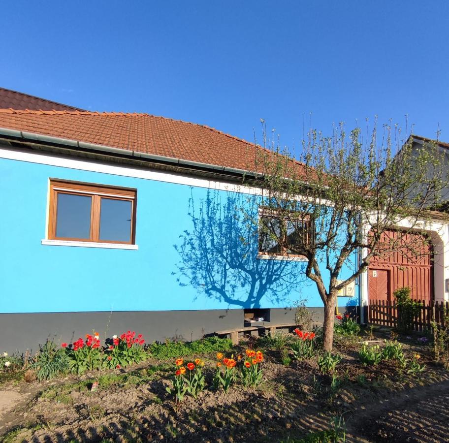 Blue Home Avrig Esterno foto